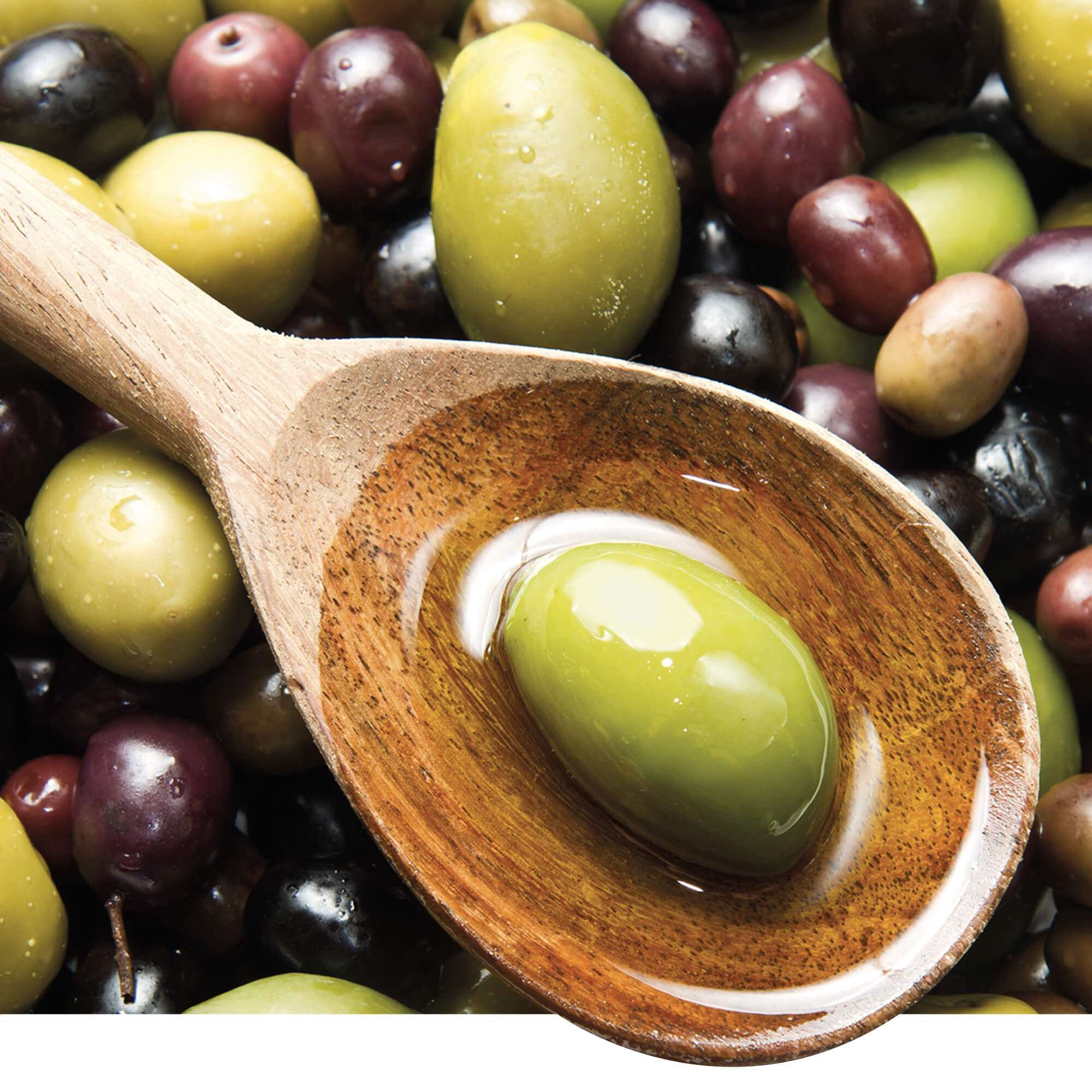 colavita-pacchetti-componente-bundle image 1