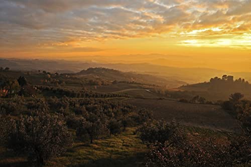 costa-d-oro-dop-umbria-colli-assisi-spoleto-olio-extravergine-non-filtrato-500-m image 6