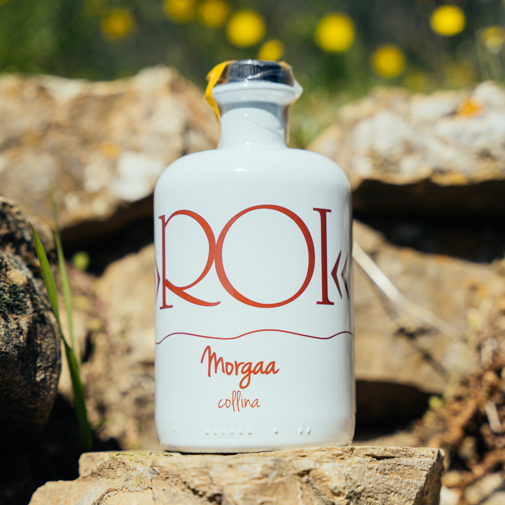 olio-roi-morgaa-collina-biologico-250ml-ampolla image 2