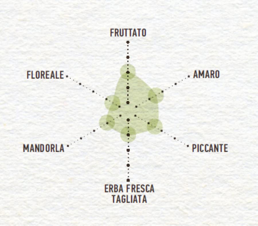 costa-d-oro-l-extra-fruttato-leggero-olio-extravergine-di-oliva-1-l image 7