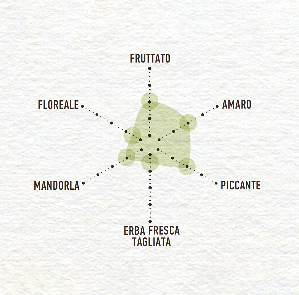 costa-d-oro-l-extra-olio-extravergine-di-oliva-estratto-a-freddo-latta-3-l image 2