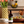 maison-orph-e-extra-virgin-olive-oil-balanced-olio-extravergine-equilibrato image 5